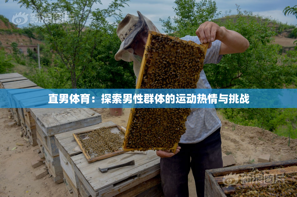 直男体育：探索男性群体的运动热情与挑战