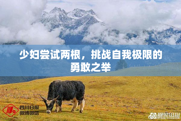 少妇尝试两根，挑战自我极限的勇敢之举
