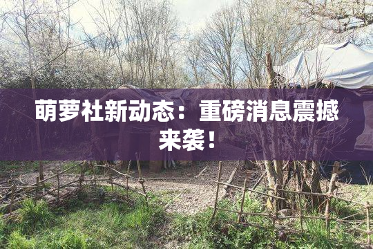 萌萝社新动态：重磅消息震撼来袭！