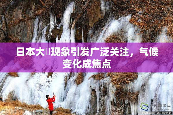 日本大隂现象引发广泛关注，气候变化成焦点