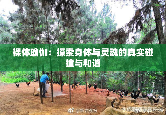 裸体瑜伽：探索身体与灵魂的真实碰撞与和谐
