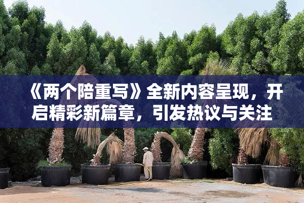 《两个陪重写》全新内容呈现，开启精彩新篇章，引发热议与关注！