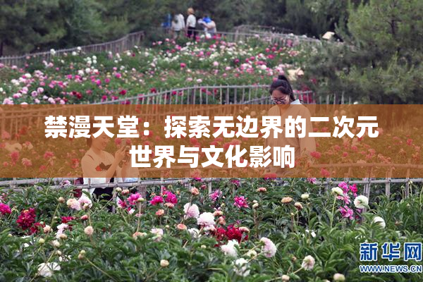 禁漫天堂：探索无边界的二次元世界与文化影响