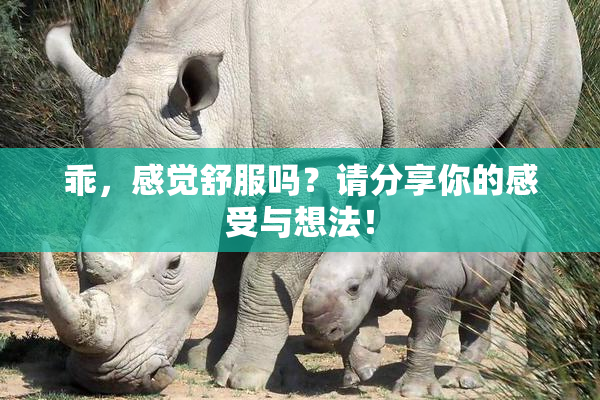 乖，感觉舒服吗？请分享你的感受与想法！
