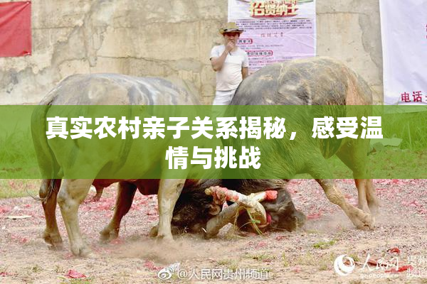 真实农村亲子关系揭秘，感受温情与挑战