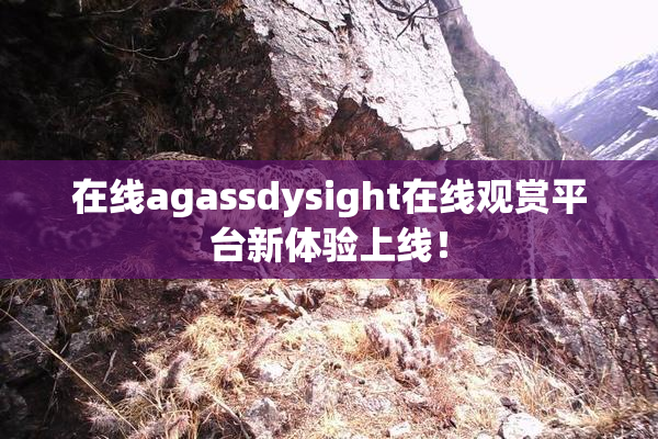 在线agassdysight在线观赏平台新体验上线！