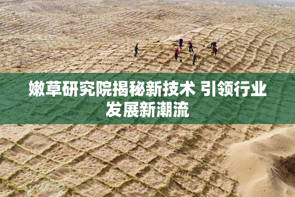 嫩草研究院揭秘新技术 引领行业发展新潮流