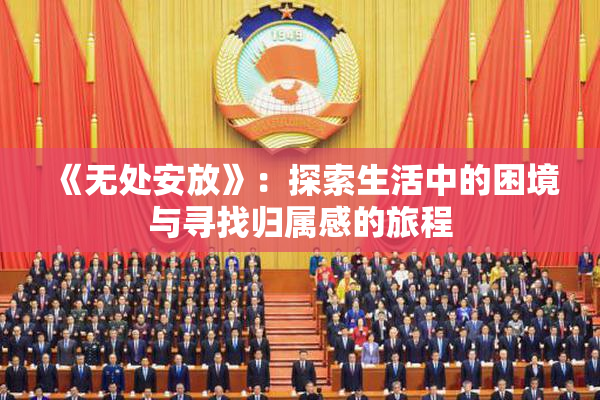 《无处安放》：探索生活中的困境与寻找归属感的旅程