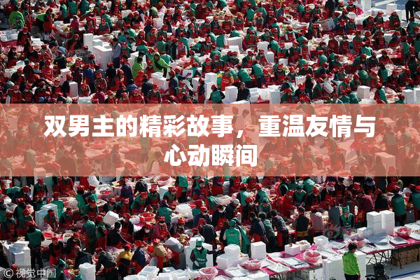 双男主的精彩故事，重温友情与心动瞬间