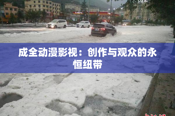 成全动漫影视：创作与观众的永恒纽带