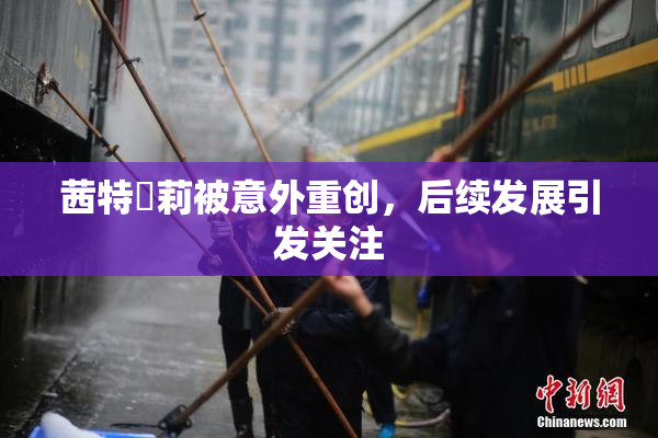 茜特菈莉被意外重创，后续发展引发关注