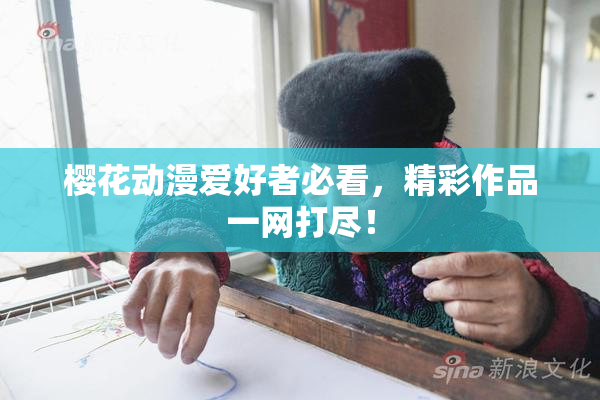 樱花动漫爱好者必看，精彩作品一网打尽！