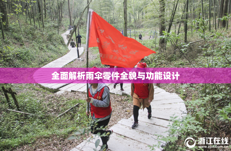 全面解析雨伞零件全貌与功能设计