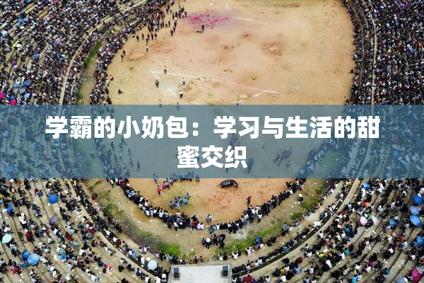 学霸的小奶包：学习与生活的甜蜜交织