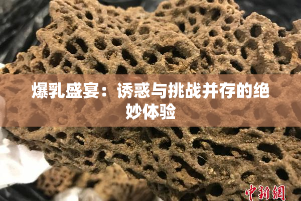 爆乳盛宴：诱惑与挑战并存的绝妙体验