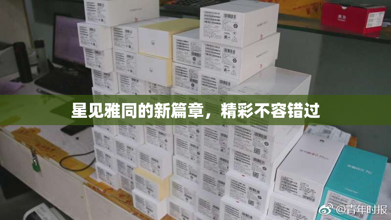 星见雅同的新篇章，精彩不容错过