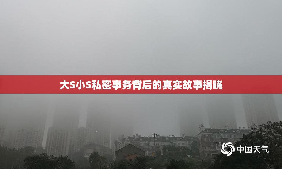 大S小S私密事务背后的真实故事揭晓