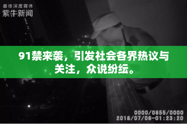 91禁来袭，引发社会各界热议与关注，众说纷纭。