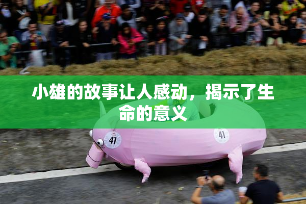 小雄的故事让人感动，揭示了生命的意义
