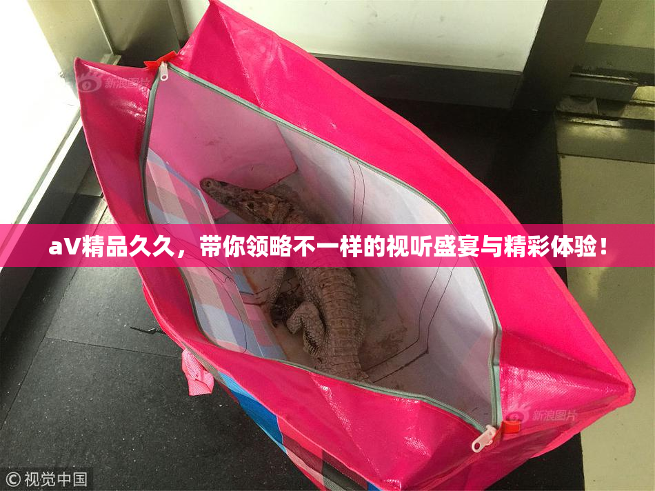 aV精品久久，带你领略不一样的视听盛宴与精彩体验！