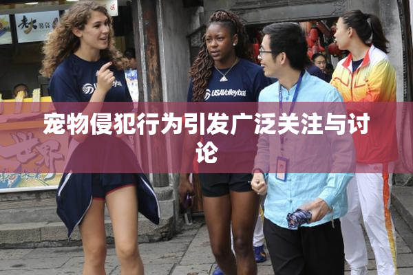 宠物侵犯行为引发广泛关注与讨论