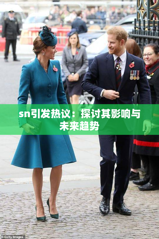 sn引发热议：探讨其影响与未来趋势