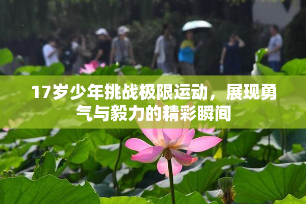 17岁少年挑战极限运动，展现勇气与毅力的精彩瞬间