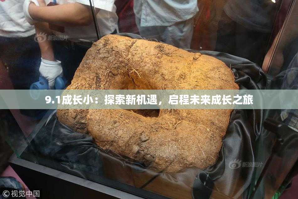 9.1成长小：探索新机遇，启程未来成长之旅