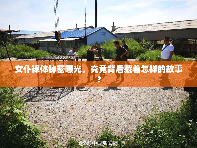 女仆裸体秘密曝光，究竟背后藏着怎样的故事？