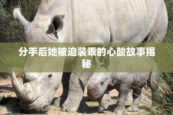分手后她被迫装乖的心酸故事揭秘