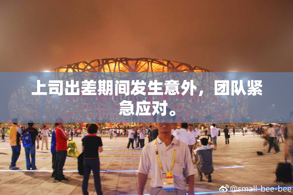 上司出差期间发生意外，团队紧急应对。