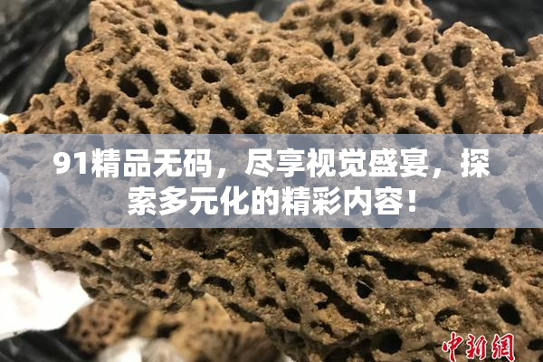 91精品无码，尽享视觉盛宴，探索多元化的精彩内容！