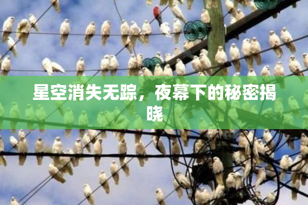 星空消失无踪，夜幕下的秘密揭晓