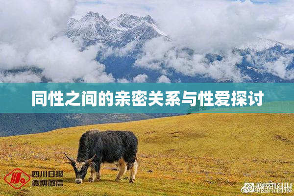 同性之间的亲密关系与性爱探讨