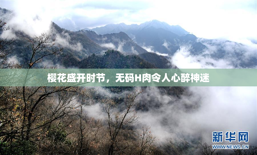 樱花盛开时节，无码H肉令人心醉神迷
