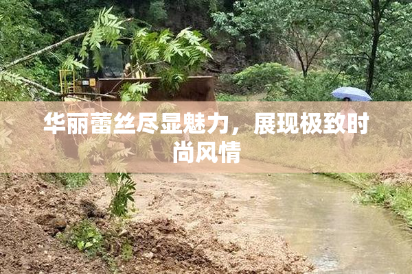 华丽蕾丝尽显魅力，展现极致时尚风情