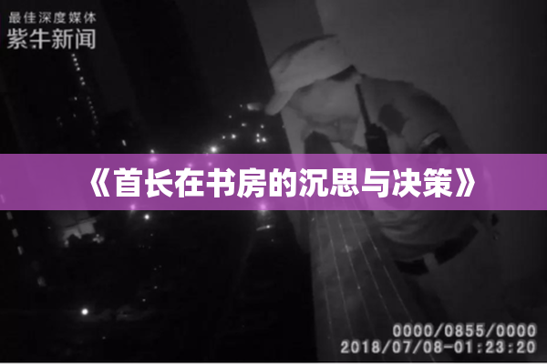 《首长在书房的沉思与决策》