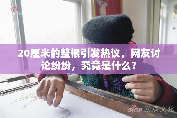 20厘米的整根引发热议，网友讨论纷纷，究竟是什么？