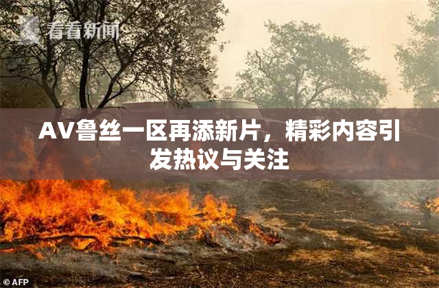 AV鲁丝一区再添新片，精彩内容引发热议与关注