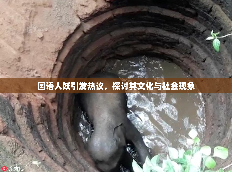 国语人妖引发热议，探讨其文化与社会现象