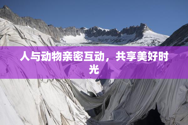 人与动物亲密互动，共享美好时光