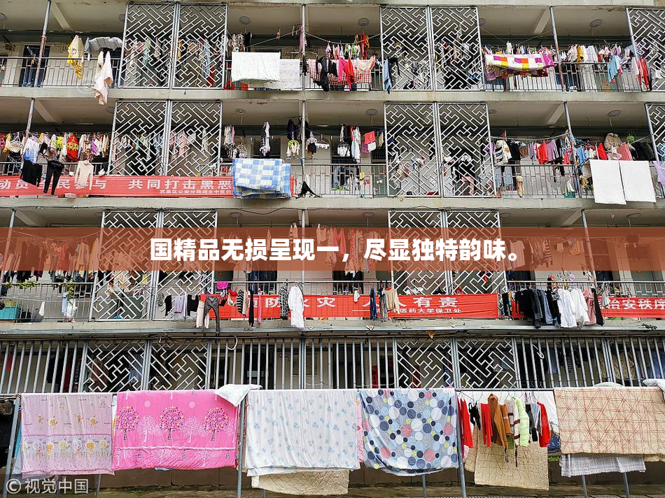 国精品无损呈现一，尽显独特韵味。