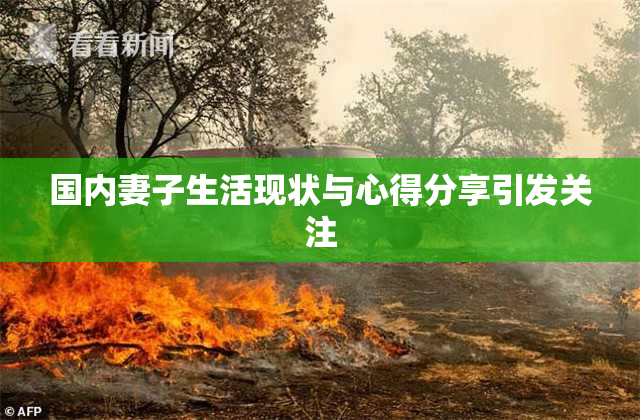 国内妻子生活现状与心得分享引发关注