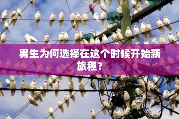 男生为何选择在这个时候开始新旅程？