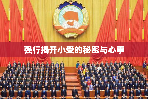 强行揭开小受的秘密与心事