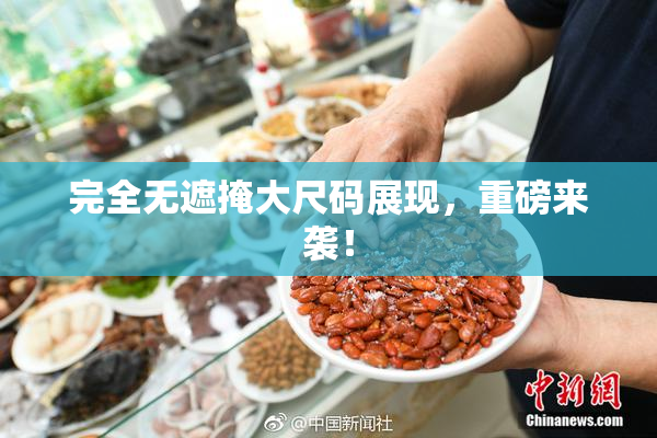 完全无遮掩大尺码展现，重磅来袭！
