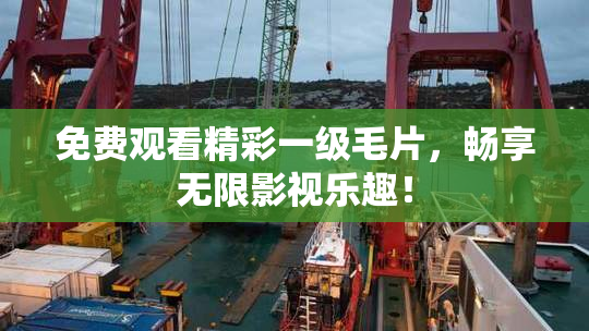 免费观看精彩一级毛片，畅享无限影视乐趣！