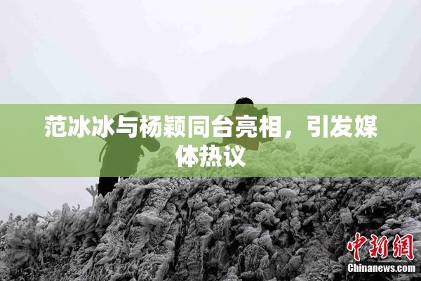 范冰冰与杨颖同台亮相，引发媒体热议