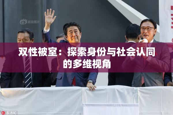 双性被室：探索身份与社会认同的多维视角