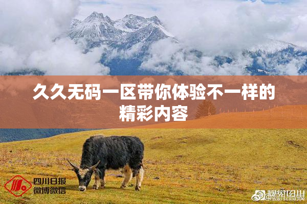 久久无码一区带你体验不一样的精彩内容
